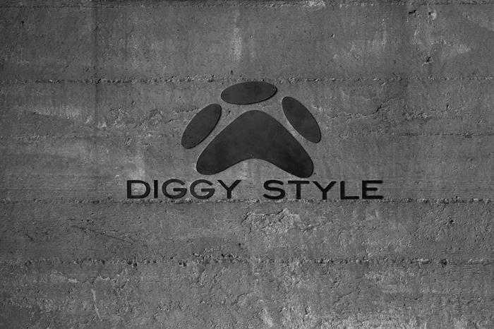 diggy style studi fotografici a noleggio di milano